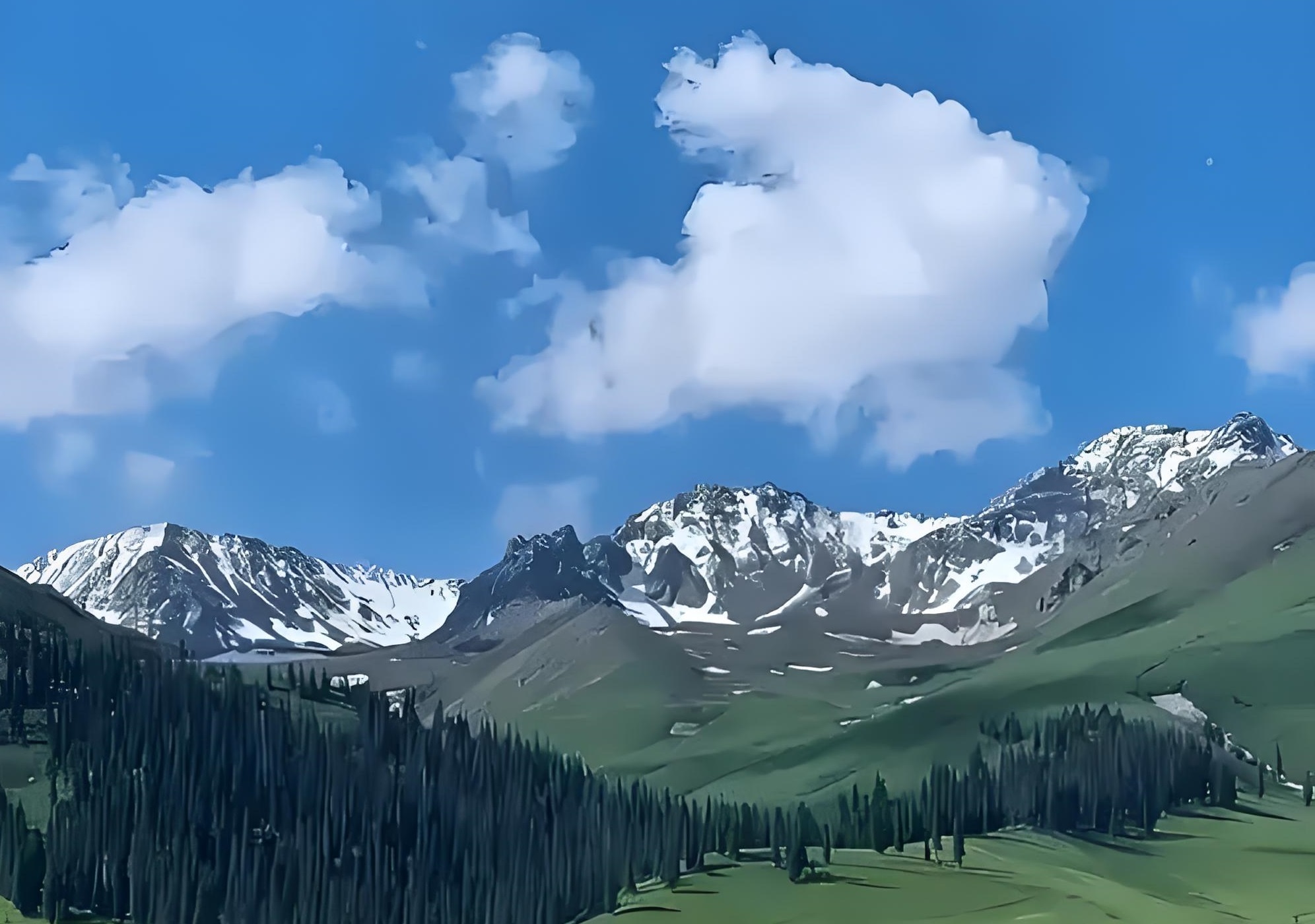 计算机基础一2025秋（预科）